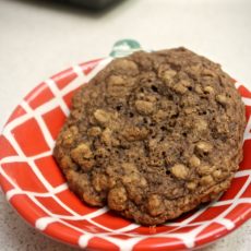 17-31: Chocolate Oatmeal Cookies