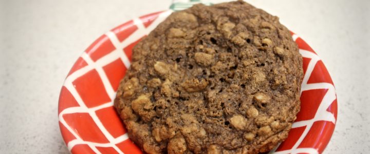 17-31: Chocolate Oatmeal Cookies