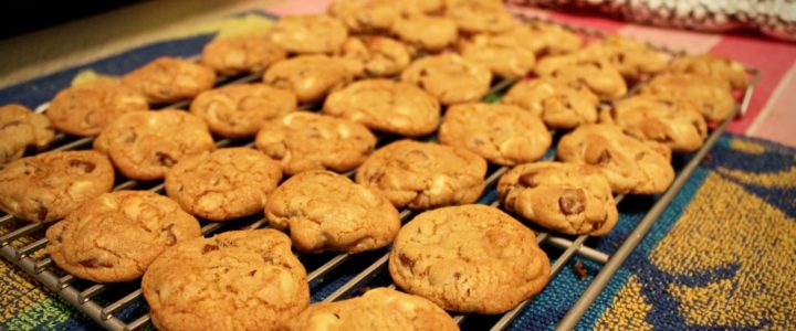 17-20: Macadamia Chip Cookies